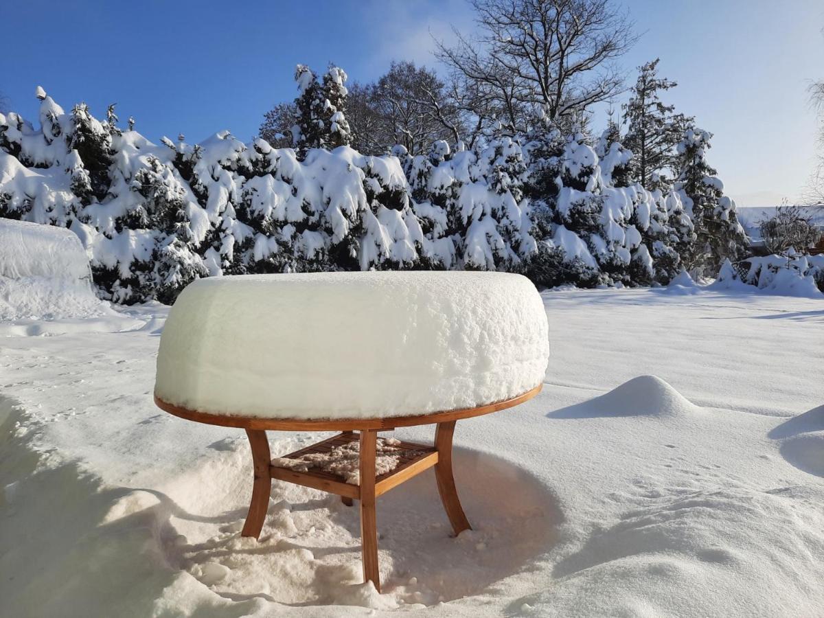 V Prirode Na Okraji Frenstatu Pod Radhostem Appartement Frenštát pod Radhoštěm Buitenkant foto
