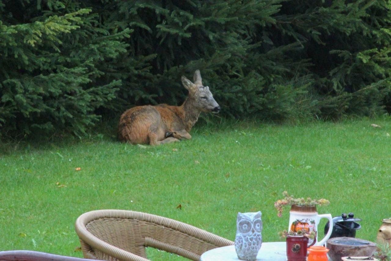 V Prirode Na Okraji Frenstatu Pod Radhostem Appartement Frenštát pod Radhoštěm Buitenkant foto